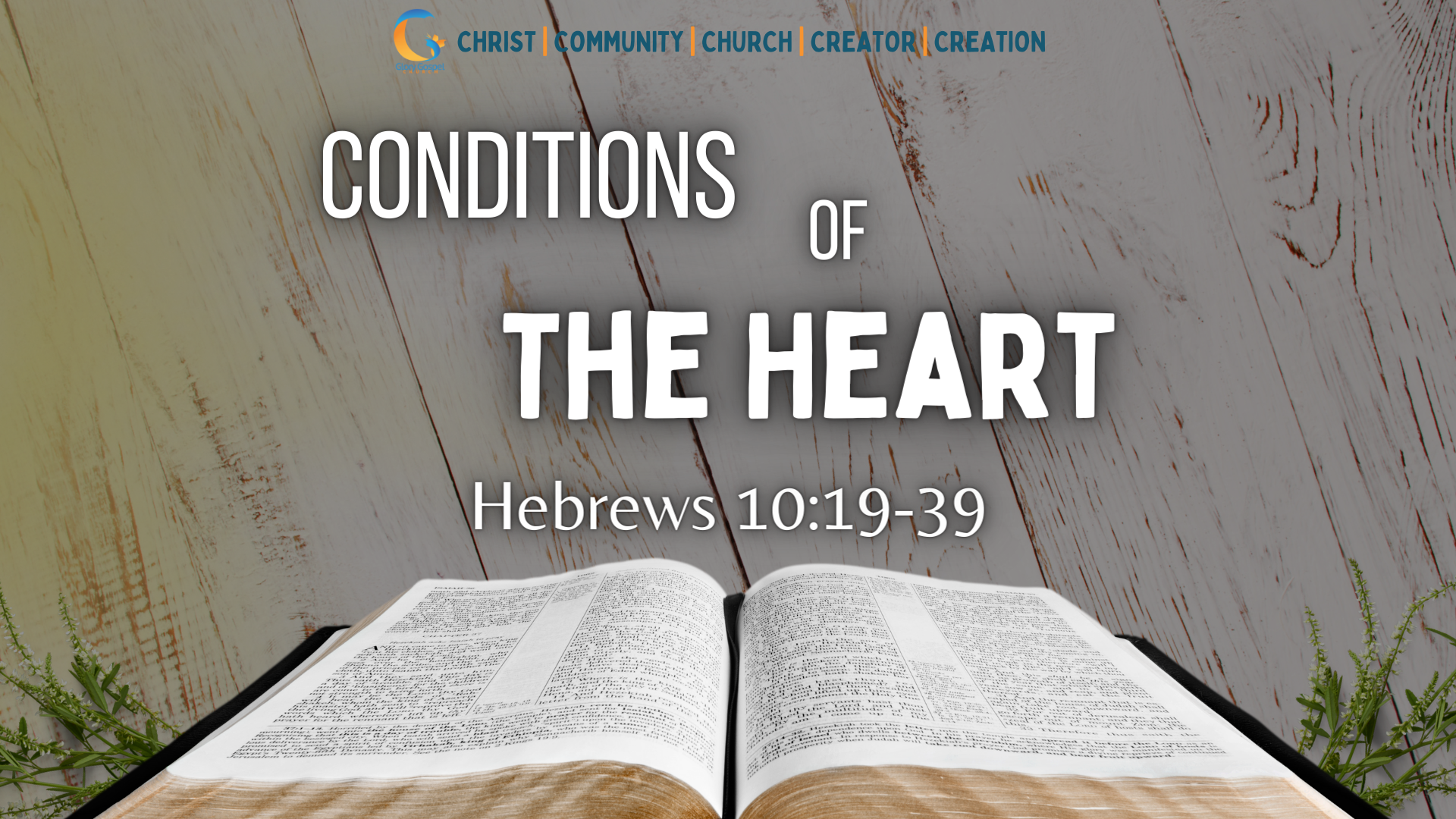 Conditions Of The Heart